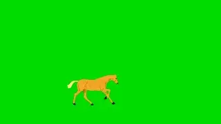 Running animated horse-Free Green Screen