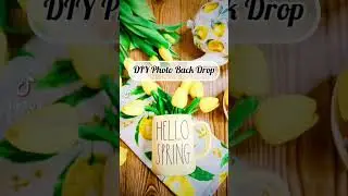 💕DIY Dollar Tree Photo Backdrop💕  