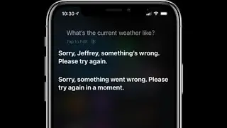 Siri says Something Went Wrong Please Try Again error on iPhone and iPad in iOS 14.1.2