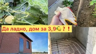 Пробую загрузить видео. Огород в октябре. Едем смотреть новый дом за 3,900🍋 89003245044 вацап📞📲