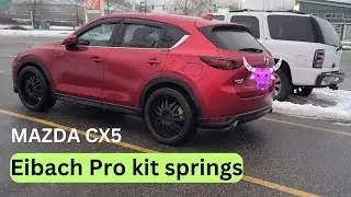 EIBSCH PRO KIT LOWERING SPRINGS ON MAZDS CX5 WHITE 22