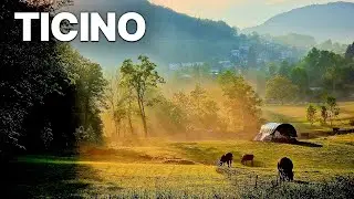Wild Faces Of Switzerland - Ticino | Wilderness and Scenic Wonder