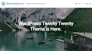 Twenty Twenty WordPress Theme Demo - 2020