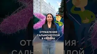Отравления сальмонеллой в Казани 