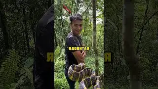 Он не боится яда этой змеи и вот почему… 