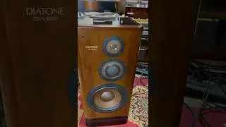 Колонки Diatone ds-v3000