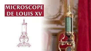 Microscope de Louis XV