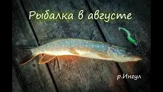 Ловля Щуки в Августе! Рыбалка на Ингуле!