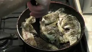 Жареный карась рецепт. Карась жареный в муке с луком и приправами