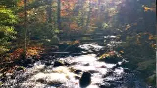 River (Brook) Background Loop