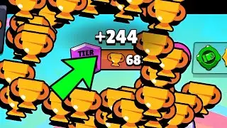 +244 Trophies🏆