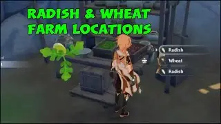 Where to Get Wheat & How to find Radish locations Genshin impact Farm