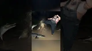 Сделала ещё артики-приколы 😂🤣😂 (❗ФОТОГРАФИИ НЕ МОИ, А КАРТИНКИ СДЕЛАЛА Я❗)