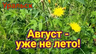 Август - уже не лето! Паводок на Урале!