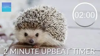 2 Minute Countdown Timer With Upbeat Music ⏲ - Pack Up Time Music - 🦔 Hedgehog packing up timer