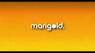 marigold. (2023)