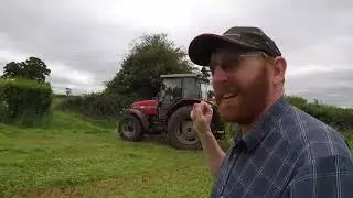 Hoping for hay, but there's no sunshine.