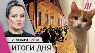 Очереди за Надеждина. Кот Твикс погиб. За «фейки» об армии будут конфисковывать имущество