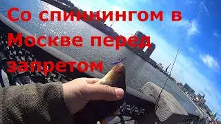 Рыбалка со спиннингом в Москве перед запретом. От Нагатинского причала до Новоспасского моста.