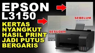 Cara Mengatasi Printer Epson L3150 Hasil Cetak Putus Bergaris Setelah Kertas Nyangkut