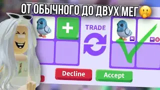 РАЗВИТИЕ ОТ ОБЫЧНОГО СИЗОГО ГОЛУБЯ ДО МЕГИ 🔥