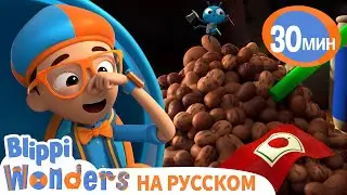 Мусоровоз | Изучай этот мир вместе с Блиппи | Обучающие мультики для детей Blippi Russian