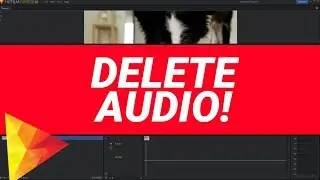 QUICK TUTORIAL | Delete Audio in Hitfilm Express 12