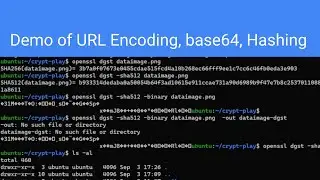 Demonstration of URL Encoding, Base64 and Hashing