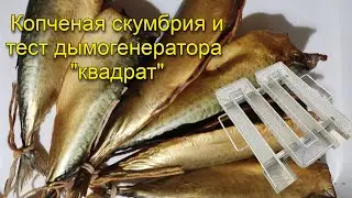 Скумбрия холодного копчения и тест дымогенератора "квадрат"