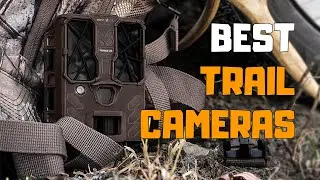 Best Trail Cameras in 2020 - Top 5 Trail Camera Picks