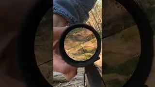 Что такое загонный прицел? 