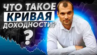 Что такое кривая доходности облигация на Московской бирже. Что это значит для инвестора?