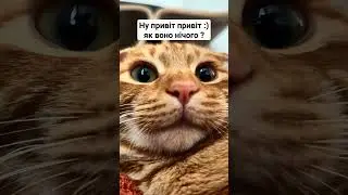 Ну привіт привіт :)як воно нічого ? 