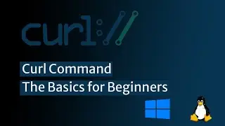 Introduction to cURL Command: The Basics for Beginners