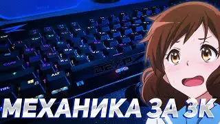 МЕХАНИЧЕСКАЯ КЛАВИАТУРА ЗА 3К | DEXP BLACK SWORD RGB 