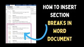 How to Insert Section Breaks in Word Document on Windows 11