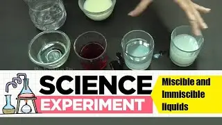 Experiment on Miscible and immiscible liquids | Science Experiment -1 | Easy Chemistry Experiments