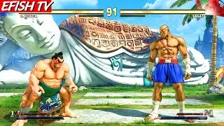 LEVEL 8 E Honda VS Sagat STREET FIGHTER V BATTLE MATCH