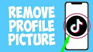 How To Remove TikTok Profile Picture (2022)