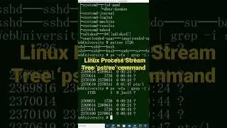 Linux Process Stream Tree ‘pstree’ command