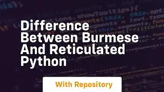 difference between burmese and reticulated python