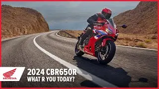 CBR650R 2024: What R you today? | Supersport Motorcycle | Honda