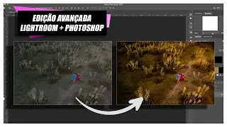 Aula 06 - Edição Avançada Lightroom + Photoshop - Curso Pós Produção - Rafael Volsi