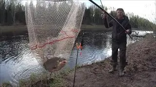 Ловим СЫРТЬ . ВИМБА  РЫБЕЦ  в проводку на поплавок  . Монстры рвут поводки. Злые поклёвки .