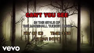 The Marshall Tucker Band - Can't You See (Karaoke)