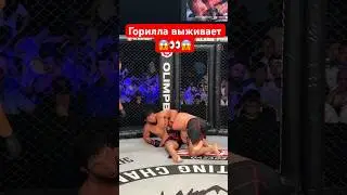 Горилла выживание #kazmma #мма #mma #бои #бой #ufc #бокс #юфс #спорт #попмма