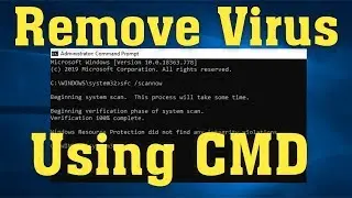 How to Remove Virus using cmd | Delete all Virus from your PC without Antivirus