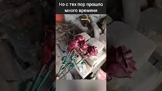 пост ностальгии. 
