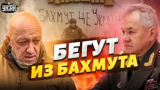 РОМАН СВИТАН: У Шойгу признали бегство россиян из Бахмута, Пригожин - в истерике