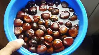 Chestnuts Recipe - How to cook chestnuts